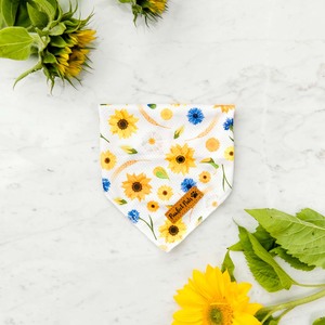 Sunshine On My Mind Range: Sunshine on my Mind - Cooling Bandana