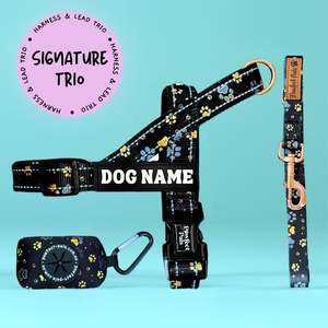 I Love You BEARy Much - Personalised Strap Harness Trio