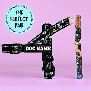 I Love You BEARy Much - Personalised Strap Harness Duo