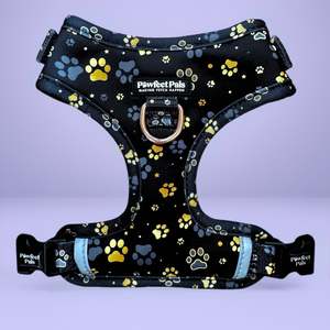 I Love You Beary Much Range: I Love You BEARy Much - No-Pull Adjustable Harness