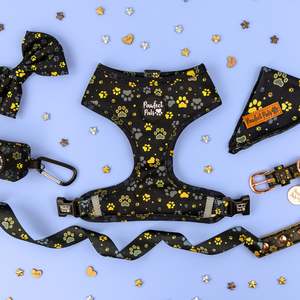 I Love You Beary Much Range: I Love You BEARy Much Walkies Pack