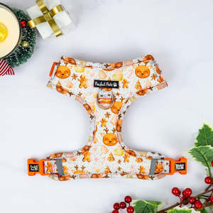 Snow Cute - No-Pull Adjustable Harness