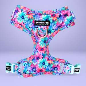 No Pull Dog Harnesses: Daydream Believer - No-Pull Adjustable Harness