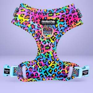 No Pull Dog Harnesses: Wild Rainbow - No-Pull Adjustable Harness