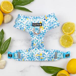 Santorini Summer - No-Pull Adjustable Harness
