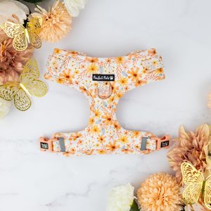 BeautiFALL - No-Pull Adjustable Harness