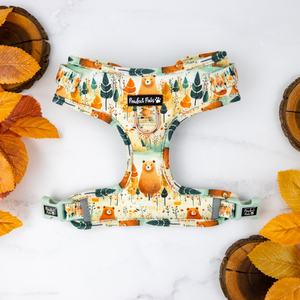 No Pull Dog Harnesses: Wild at Heart - No-Pull Adjustable Harness