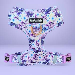 Social Butterfly - No-Pull Adjustable Harness