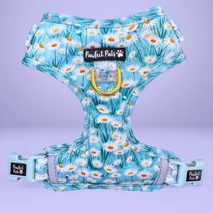 Sweet Like Honey - Daisy Fields No-Pull Adjustable Harness