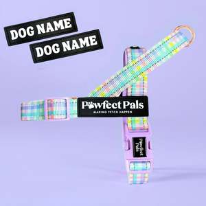 Dog Harnesses: Once and Flor-All - Rainbow Gingham Personalised Strap Harness