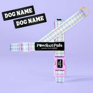 Dog Harnesses: Social Butterfly - Purple Gingham Personalised Strap Harness