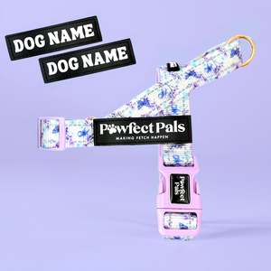 Social Butterfly - Personalised Strap Harness