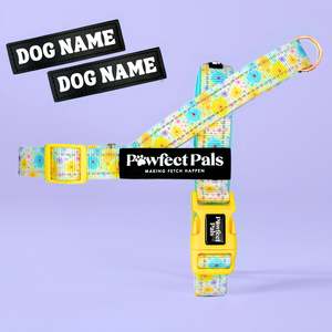 Dog Harnesses: Once & Flor-All - Personalised Strap Harness
