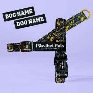 Midnight Sky - Personalised Strap Harness
