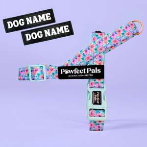 Daydream Believer - Personalised Strap Harness