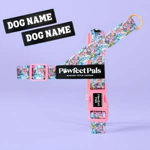 Dog Harnesses: Got it Glowing On - Boho Vibes Personalised Strap Harness