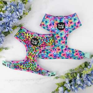 Dog Harnesses: Daydream Believer / Wild Rainbow - Reversible Dog Harness