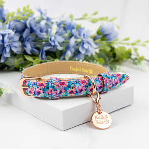 Daydream Believer - Dog Collar