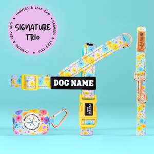 50 Off: Once & Flor-All - Personalised Strap Harness Trio