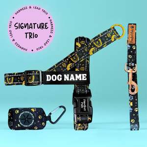 50 Off: Midnight Sky - Personalised Strap Harness Trio