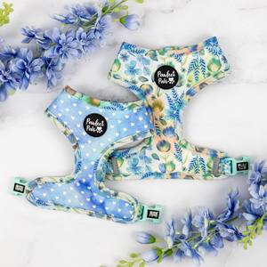 Reversible Dog Harnesses: Once Upon a Flower - Reversible Harness