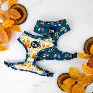 Reversible Dog Harnesses: Wild at Heart - Reversible Dog Harness