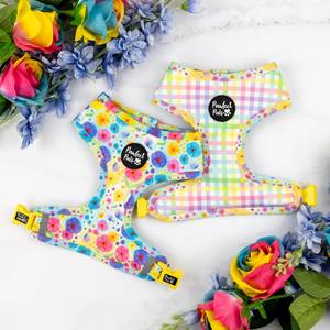 Once and Flor-all - Reversible Dog Harness