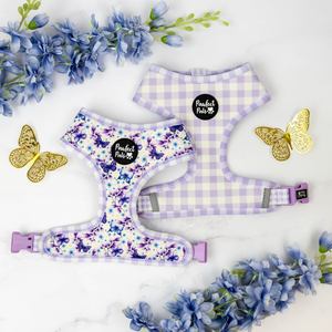 Social Butterfly - Reversible Dog Harness