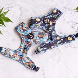 Little Dude - Reversible Dog Harness