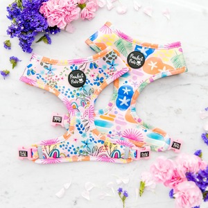 Reversible Dog Harnesses: Got it Glowing On - Reversible Harness