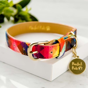 Little Ray of Sunshine - Dog Collar