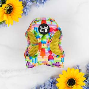 Cat Harnesses: Dogs Just Wanna Have Sun - Ice Block Cat Harness