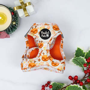 Cat Harnesses: Snow Cute - Cat Harness