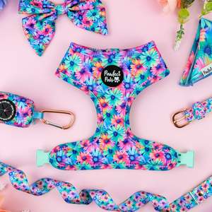 Walkies Packs: Daydream Believer Walkies Pack