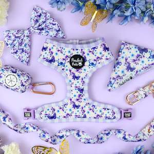 Walkies Packs: Social Butterfly Walkies Pack