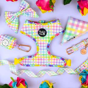Walkies Packs: Once & Flor-All - Rainbow Gingham Walkies Pack