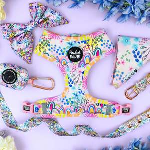 Walkies Packs: Got it Glowing on Walkies Pack