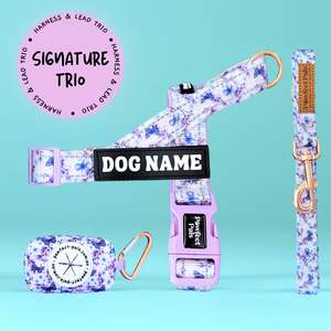 Social Butterfly: Social Butterfly - Personalised Strap Harness Trio