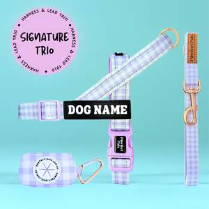 Social Butterfly: Purple Gingham - Personalised Strap Harness Trio