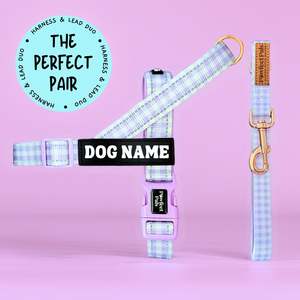 Purple Gingham - Personalised Strap Harness Duo