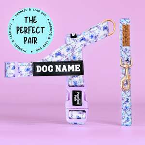 Social Butterfly - Personalised Strap Harness Duo
