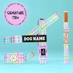 Rainbow Gingham - Personalised Strap Harness Trio