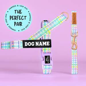 Rainbow Gingham - Personalised Strap Harness Duo