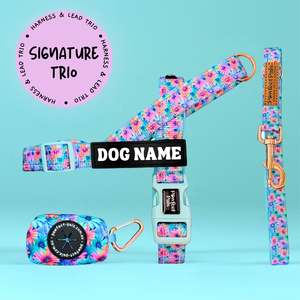 Daydream Believer - Personalised Strap Harness Trio