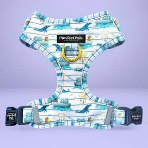 Sailor Bear - No-Pull Adjustable Harness