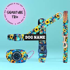 Sunflower Bloom - Personalised Strap Harness Trio