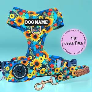 Sunflower Bloom - Personalised Adjustable Harness Trio
