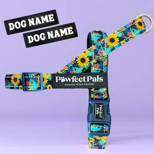 Sunflower Bloom - Personalised Strap Harness