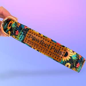Sunflower Bloom - Soft Dog Collar