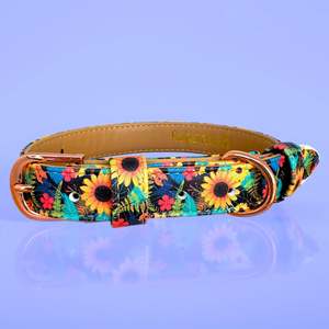Sunflower Bloom - Dog Collar
